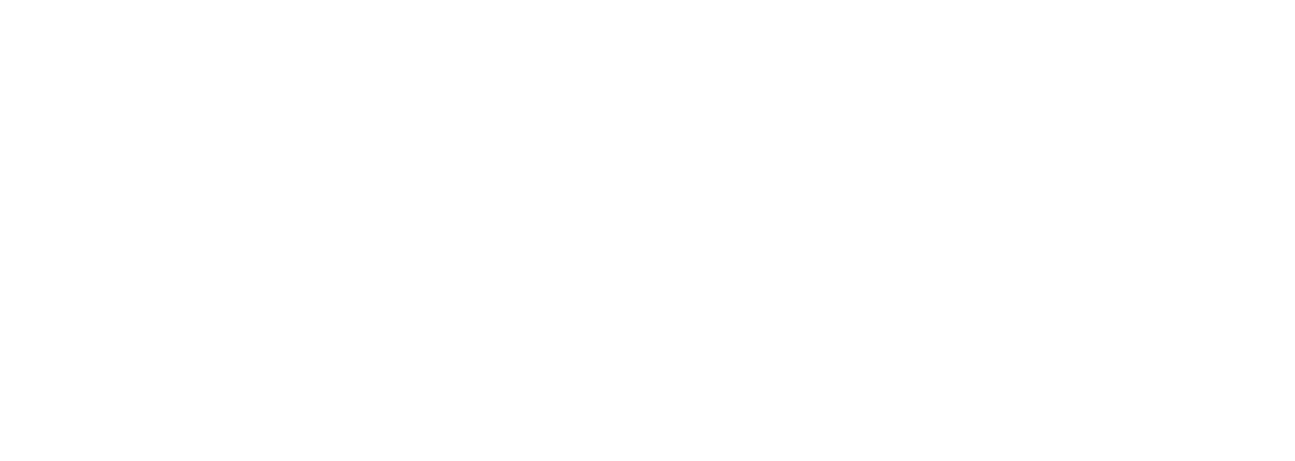 Next Academy Logo - White