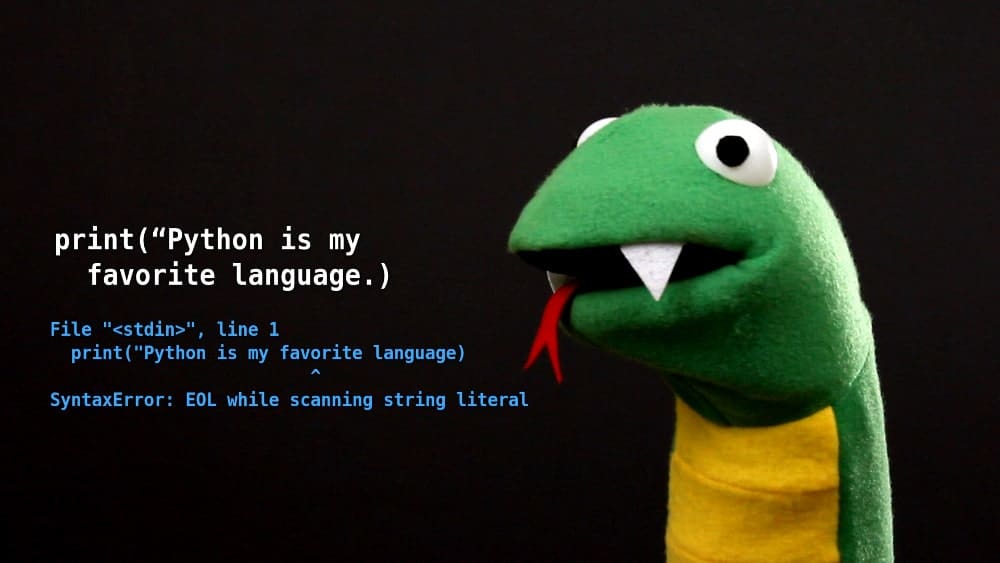 Python Quote Green Stuffed Snake